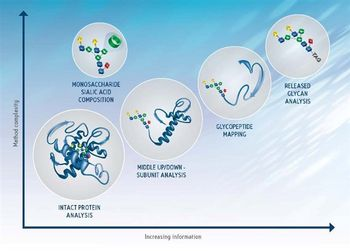 Waters - HILIC for Released Glycans