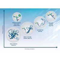 Waters - HILIC for Released Glycans