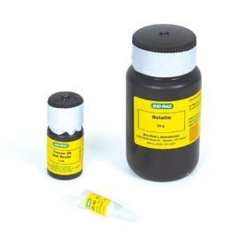 Bio-Rad Laboratories, Inc. - Immun-Blot Goat Anti-Rabbit IgG (H + L)-AP Assay Kit