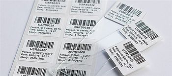 CILS International - Slide Labels
