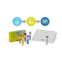 Bio-Rad Laboratories, Inc. - lncRNA RT-qPCR Workflow