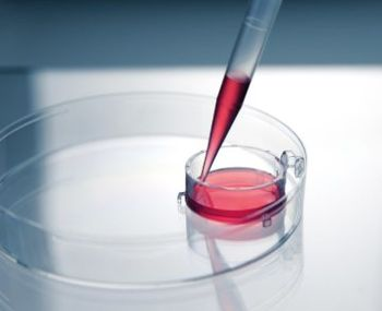 BrandTech Scientific - BRAND Insert 2in1 Cell Culture Inserts