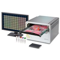 Sartorius - Incucyte SX5 Live-Cell Analysis System