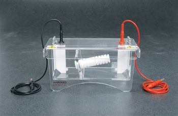 Harvard Apparatus - ElectroPrep System
