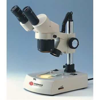 undefined - Stereo Microscopes