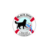 Black Dog Technical Services